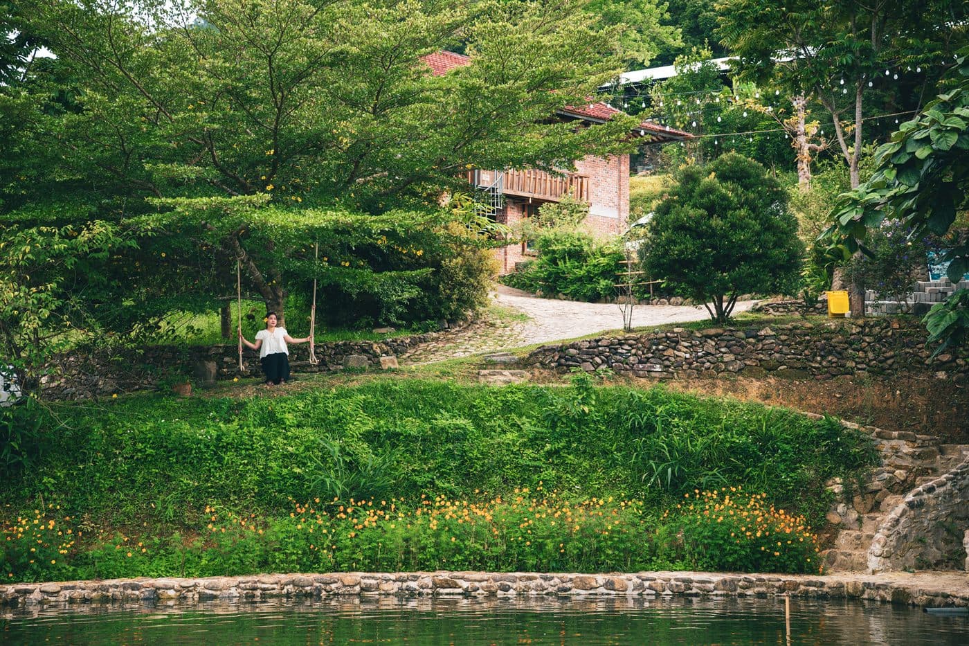 Mật ong rừng A Lưới photo 2
