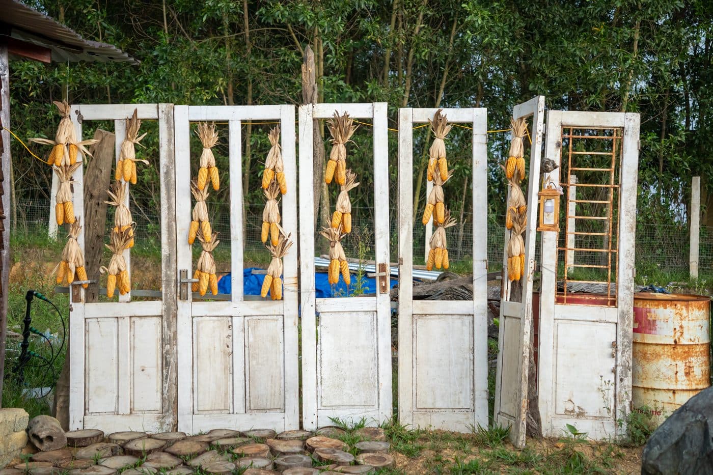 Trà thảo mộc miền núi photo 2