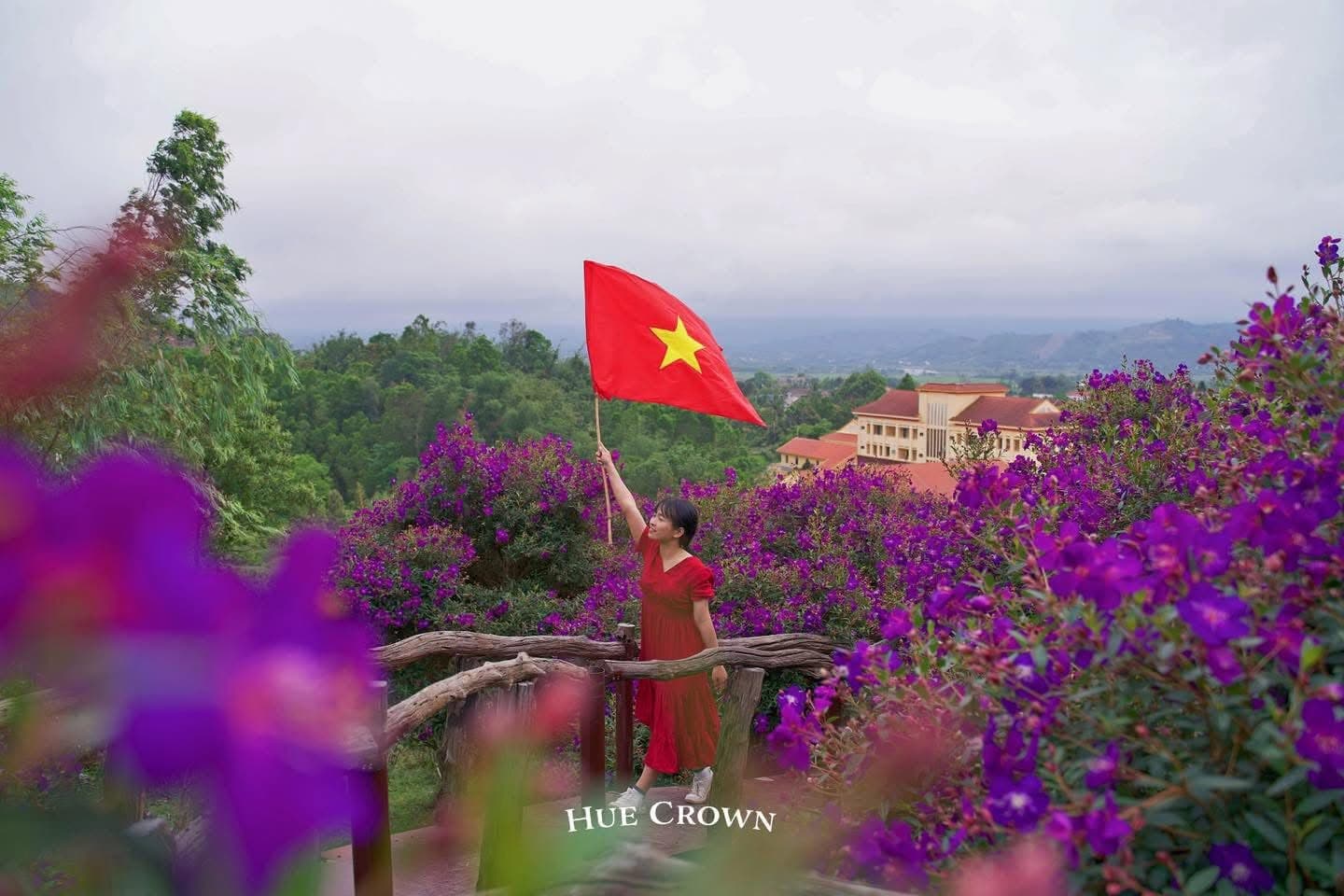 Đồi thông