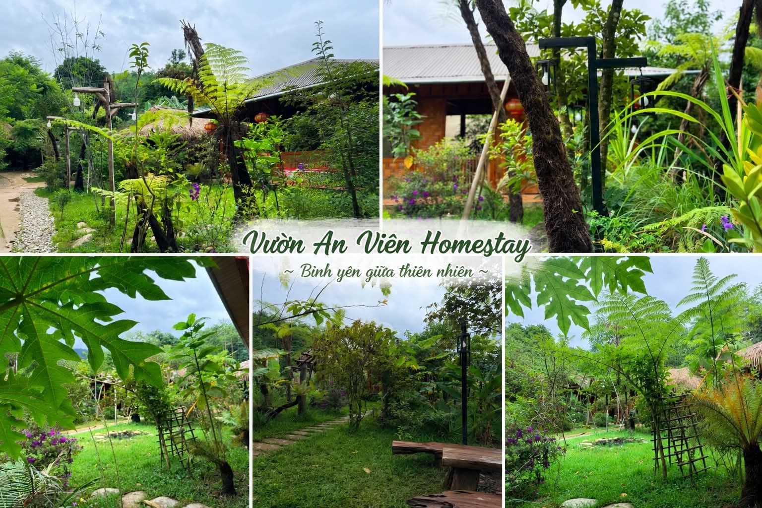Vườn An Viên Homestay